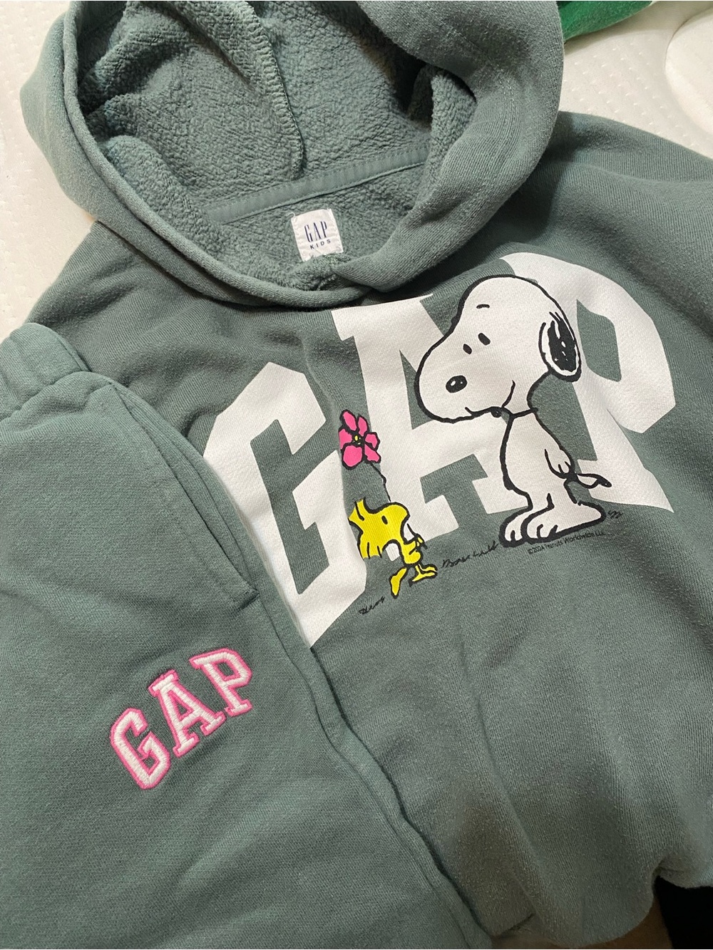 GAP Kids Sage Green Snoopy & Woodstock Hoodie